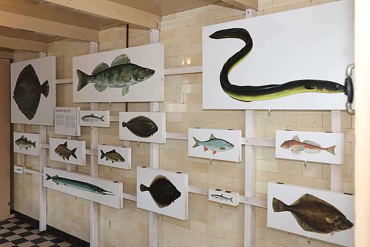 SDWA seniorenuitje2023_099